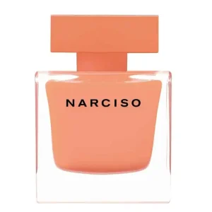 Ambra EDP