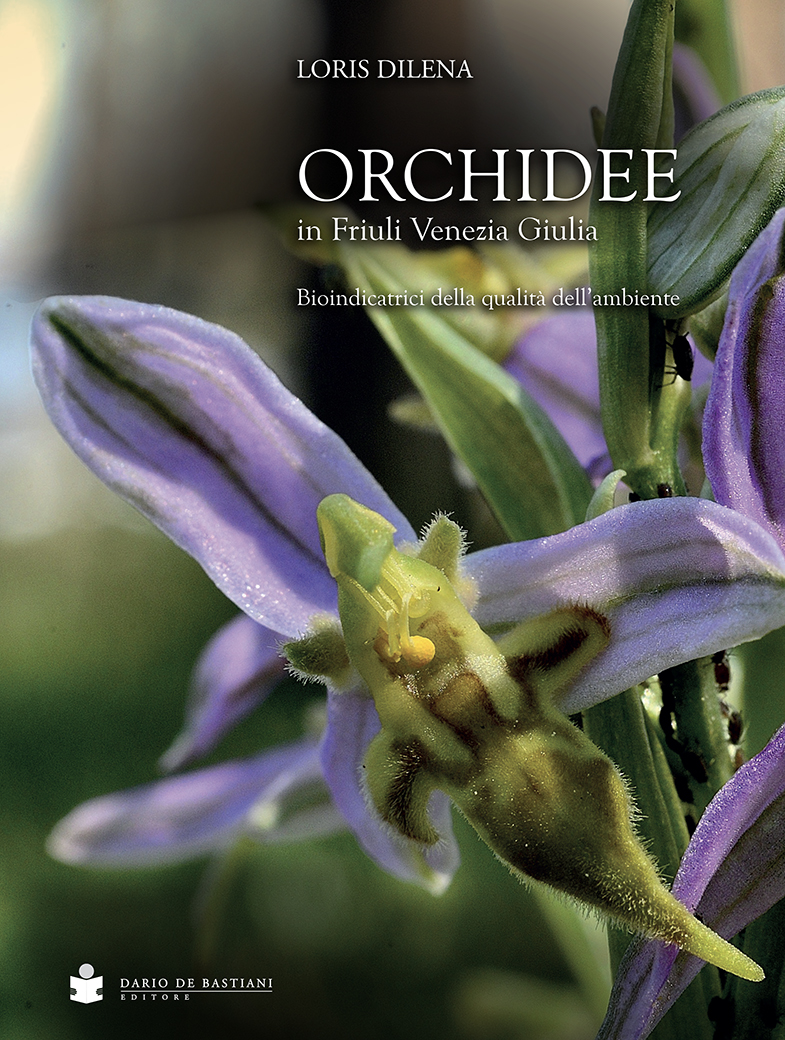 Orchidee in Friuli Venezia Giulia